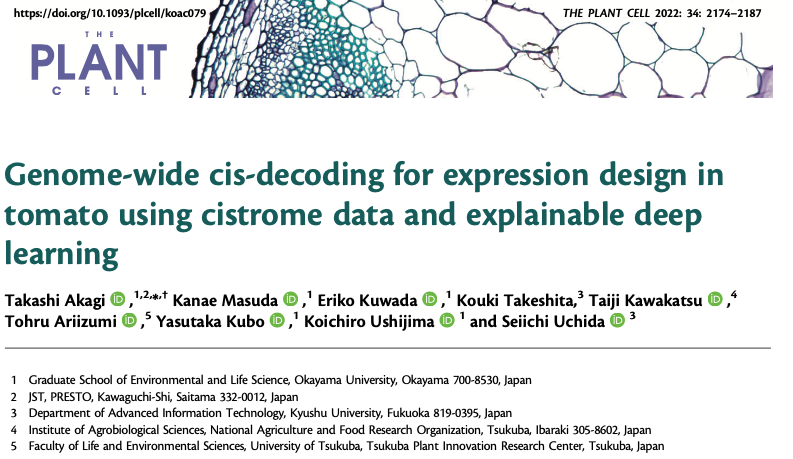 Genome-wide cis-decoding for expression design in tomato using cistrome data and explainable deep learning