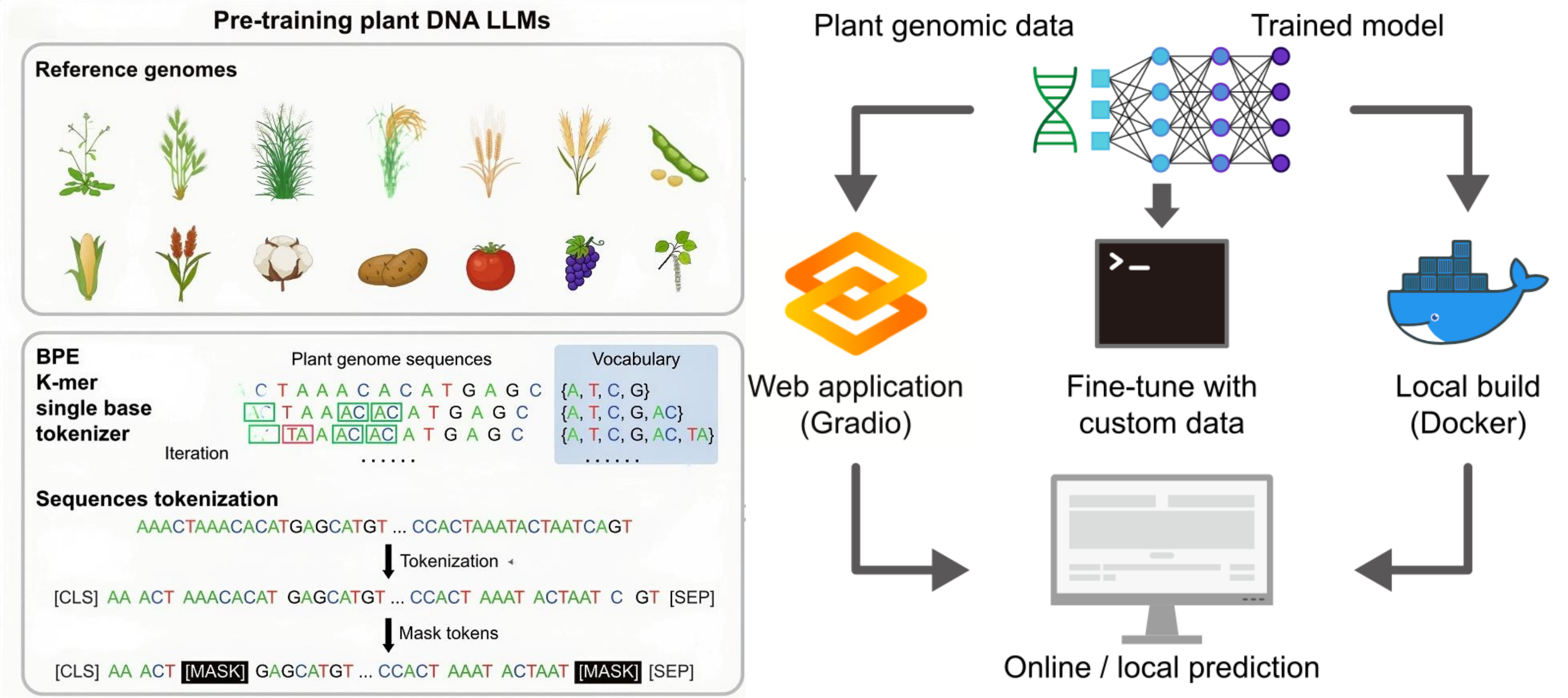 PDLLMs paper Figure 1: model overview